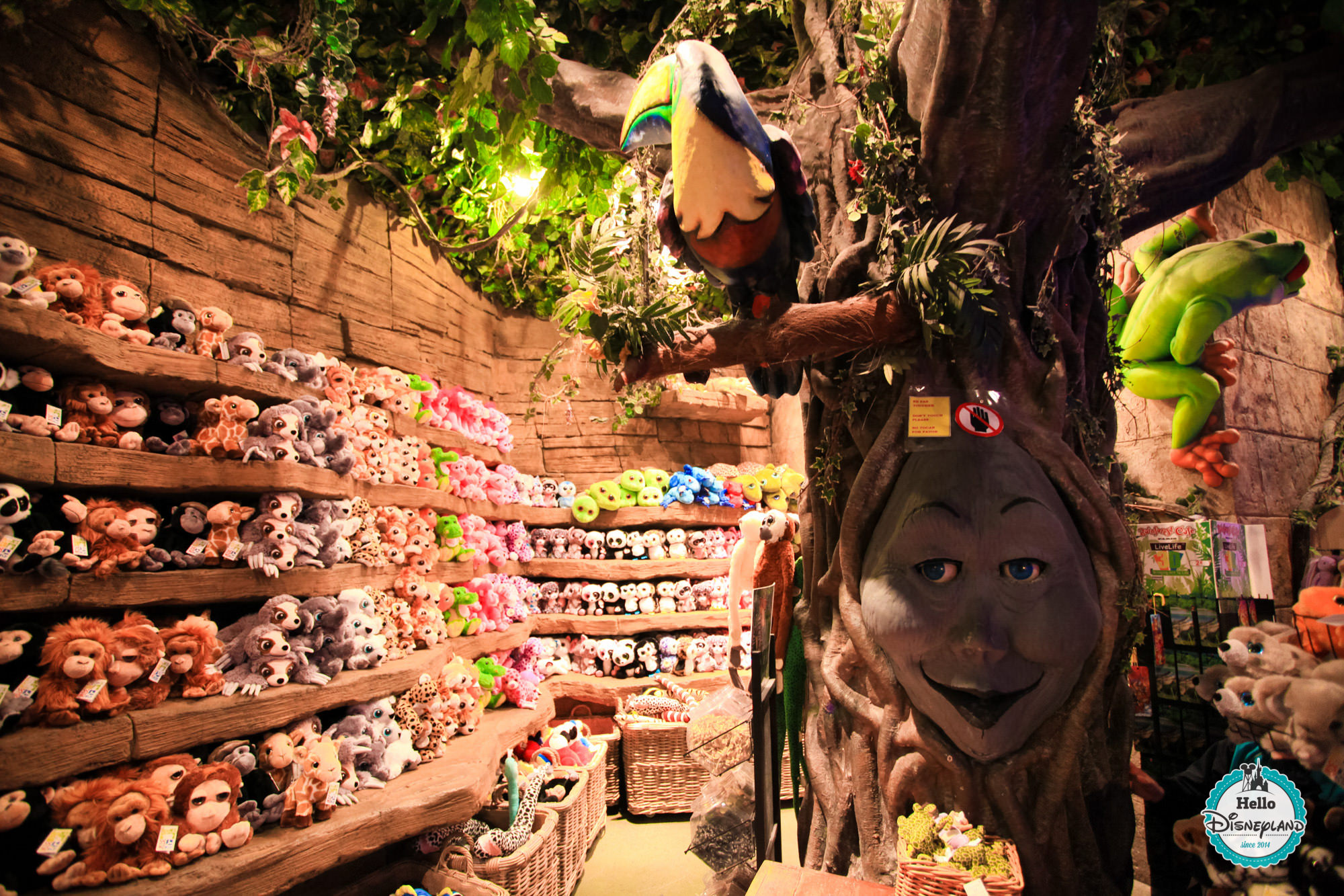 Hello Disneyland : Le blog n°1 sur Disneyland Paris | Rainforest Cafe Shop