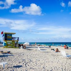 Floride Miami - Walt Disney World