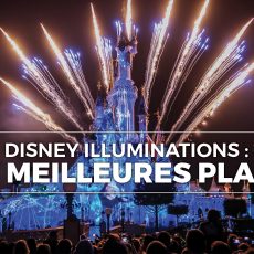 Disney Illuminations - Disneyland Paris