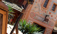 La Girafe Curieuse
