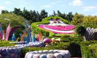 Alice's Curious Labyrinth