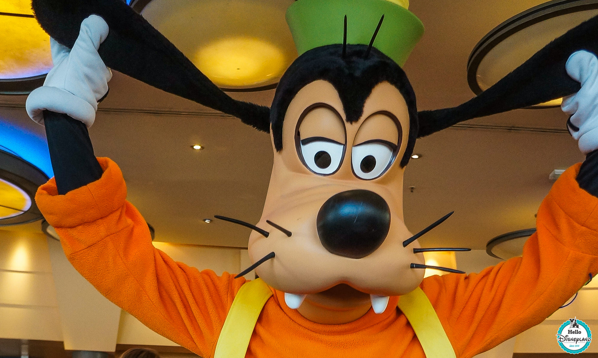 Cafe Mickey - Disneyland Paris Restaurants Personnages