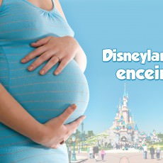 Disneyland Paris enceinte