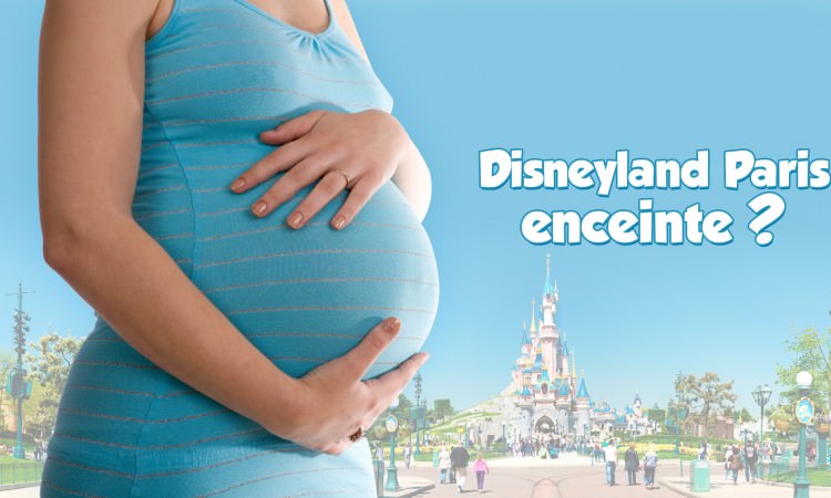 Disneyland Paris enceinte