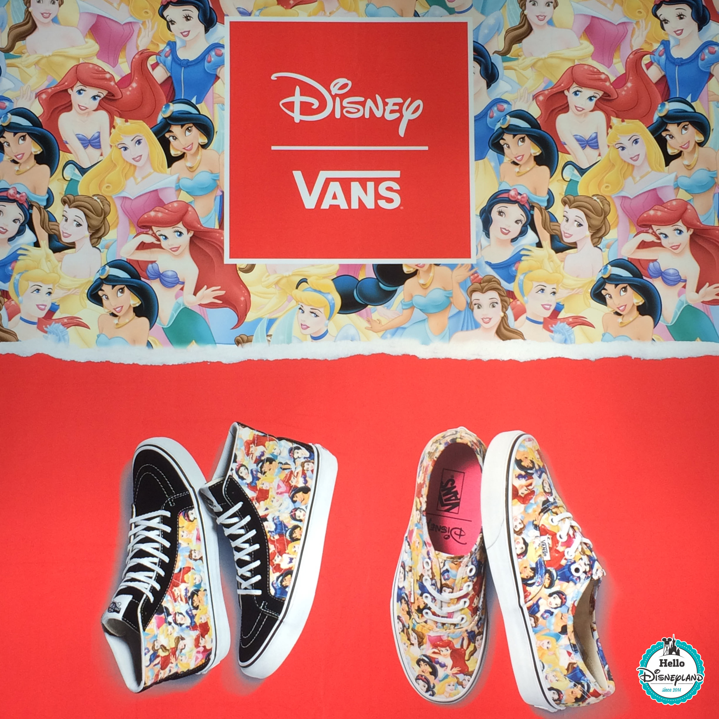 vans princesse disney adulte