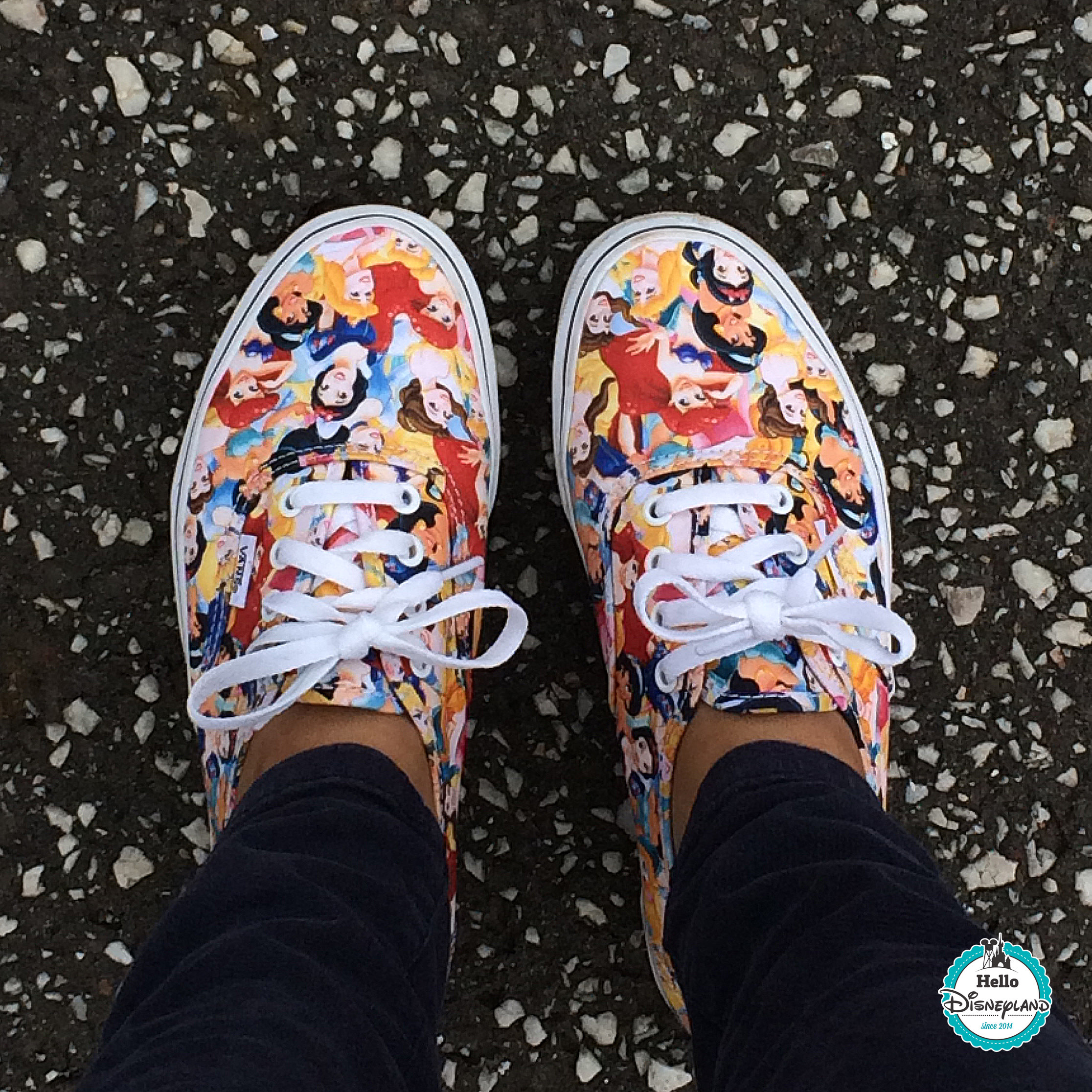 vans disney prix