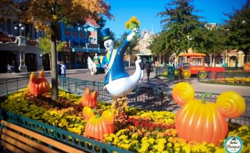 Festival Halloween 2015 - Disneyland Paris-