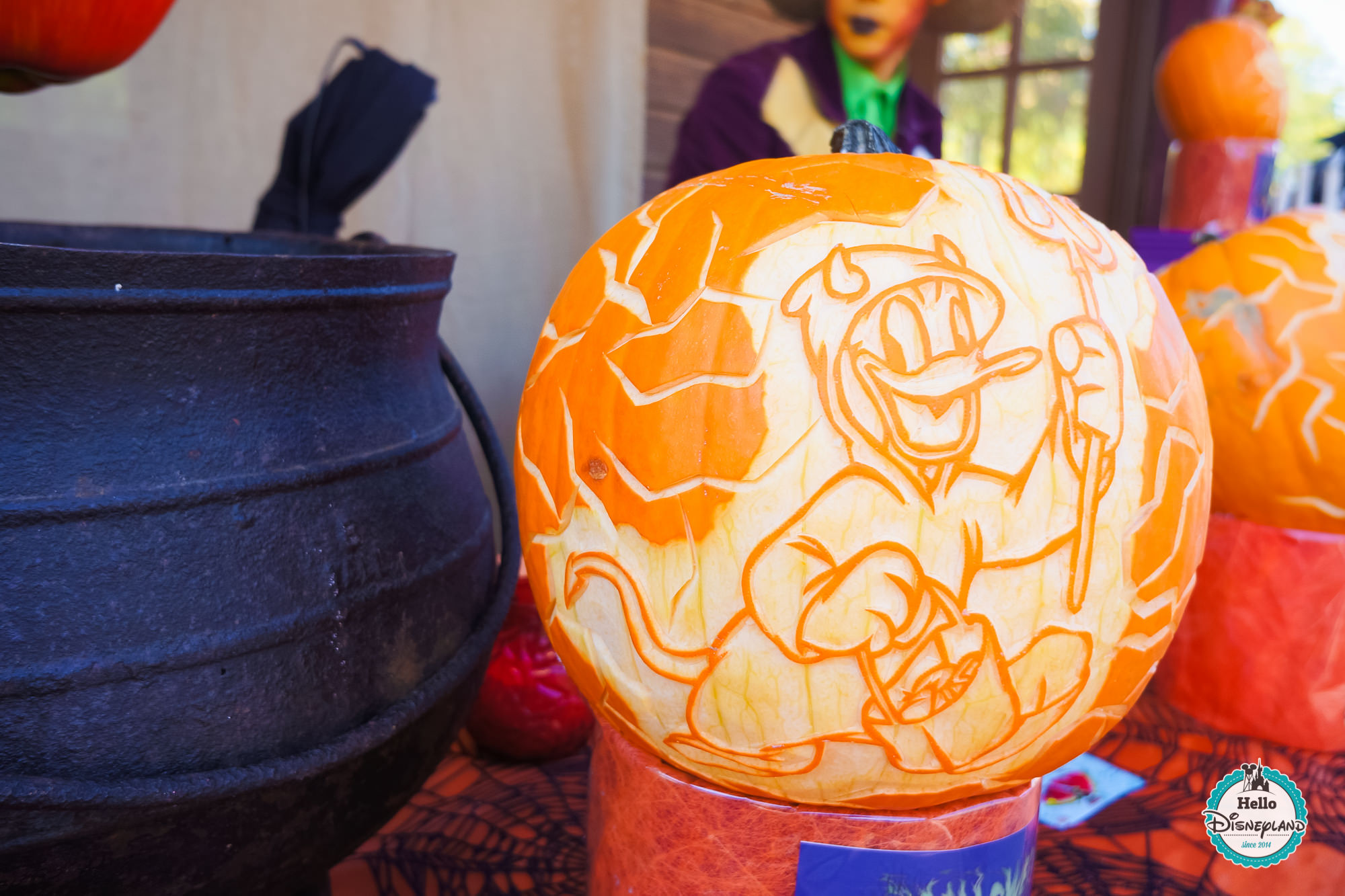 Festival Halloween 2015 - Disneyland Paris-