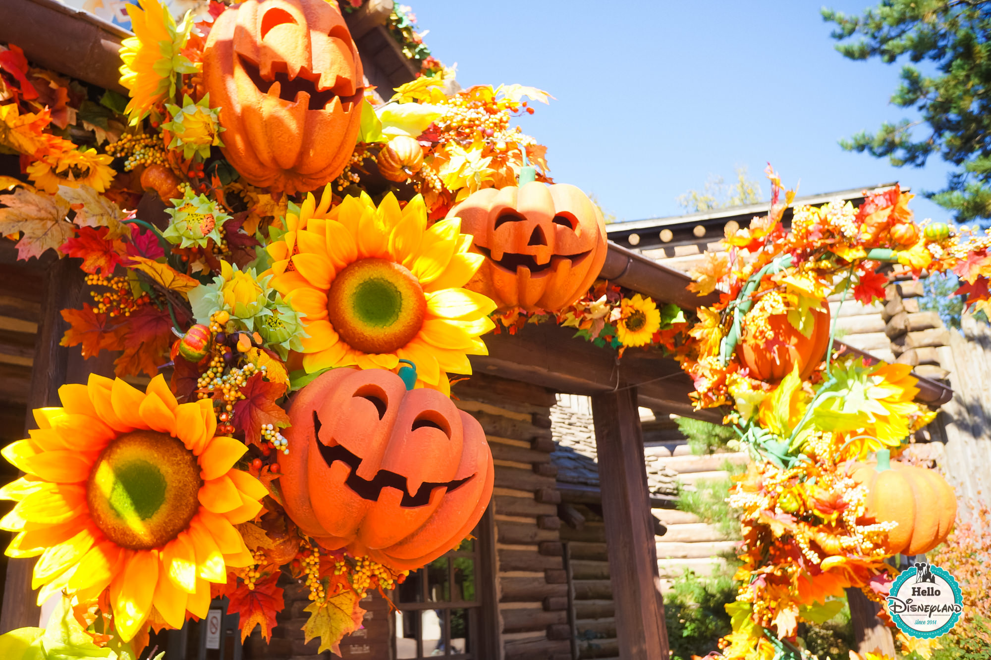 Festival Halloween 2015 - Disneyland Paris-