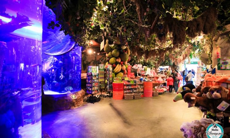 Rainforest Cafe Shop