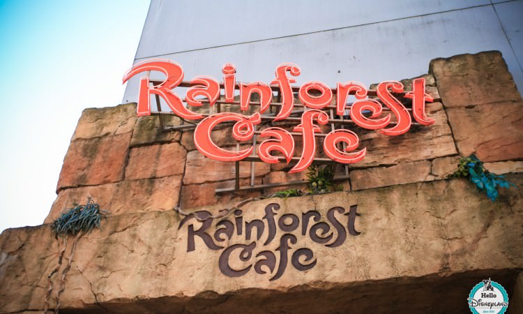 Rainforest Cafe Shop