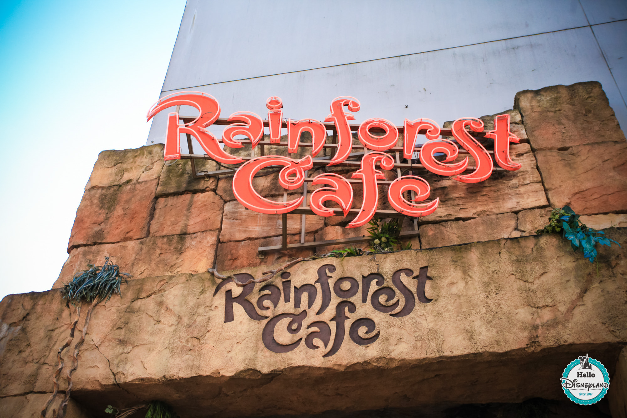 Rainforest Cafe Shop