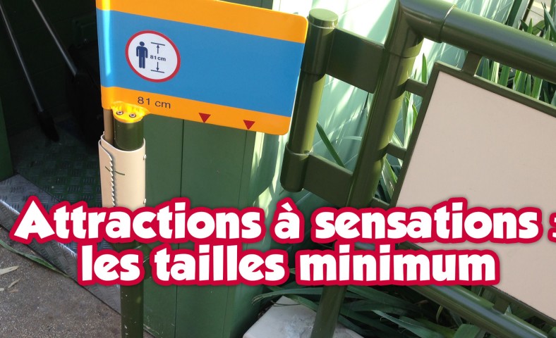 Taille minimum dans les attraction à Disneyland Paris