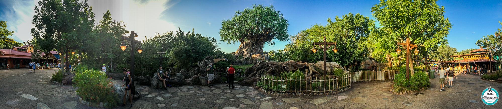 Animal Kingdom Panorama - Walt Disney World-1