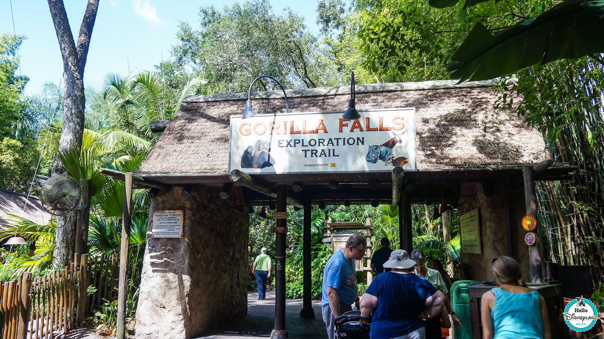 Animal Kingdom - Walt Disney World