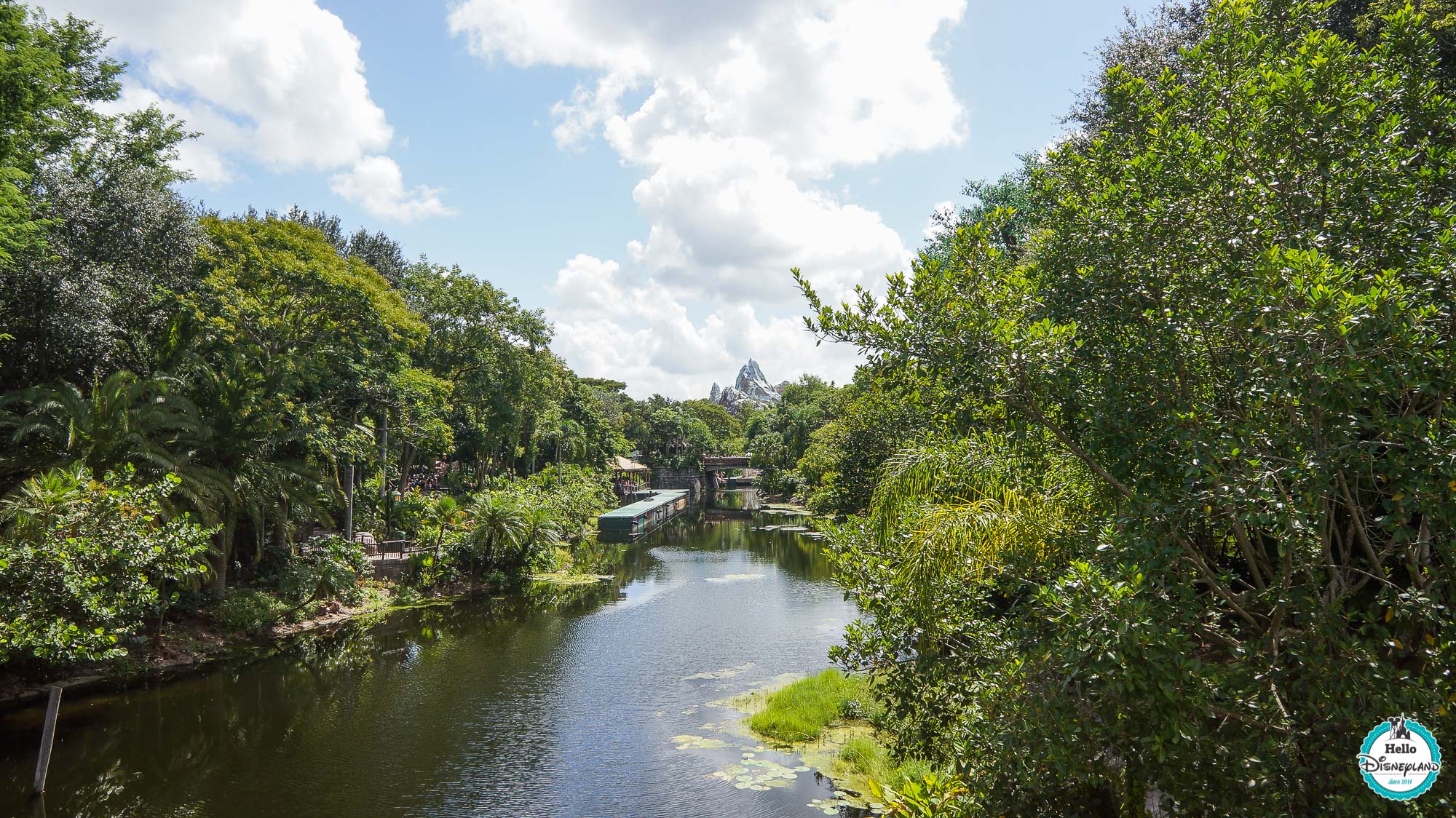 Animal Kingdom - Walt Disney World