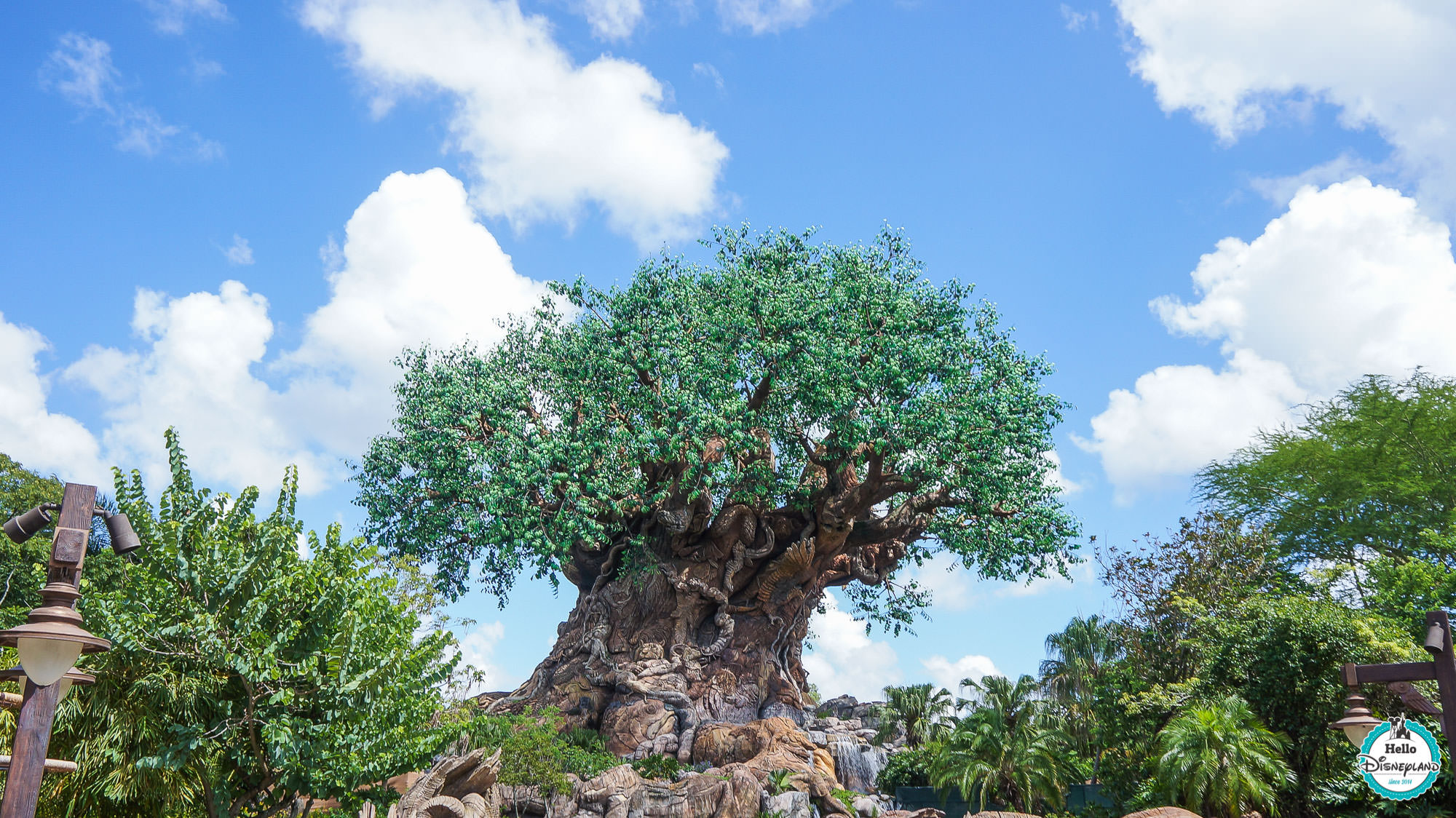 Animal Kingdom - Walt Disney World