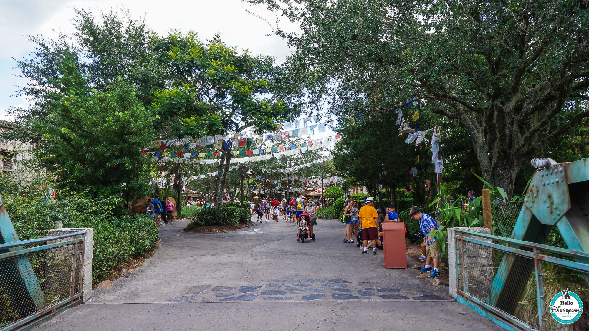 Animal Kingdom - Walt Disney World