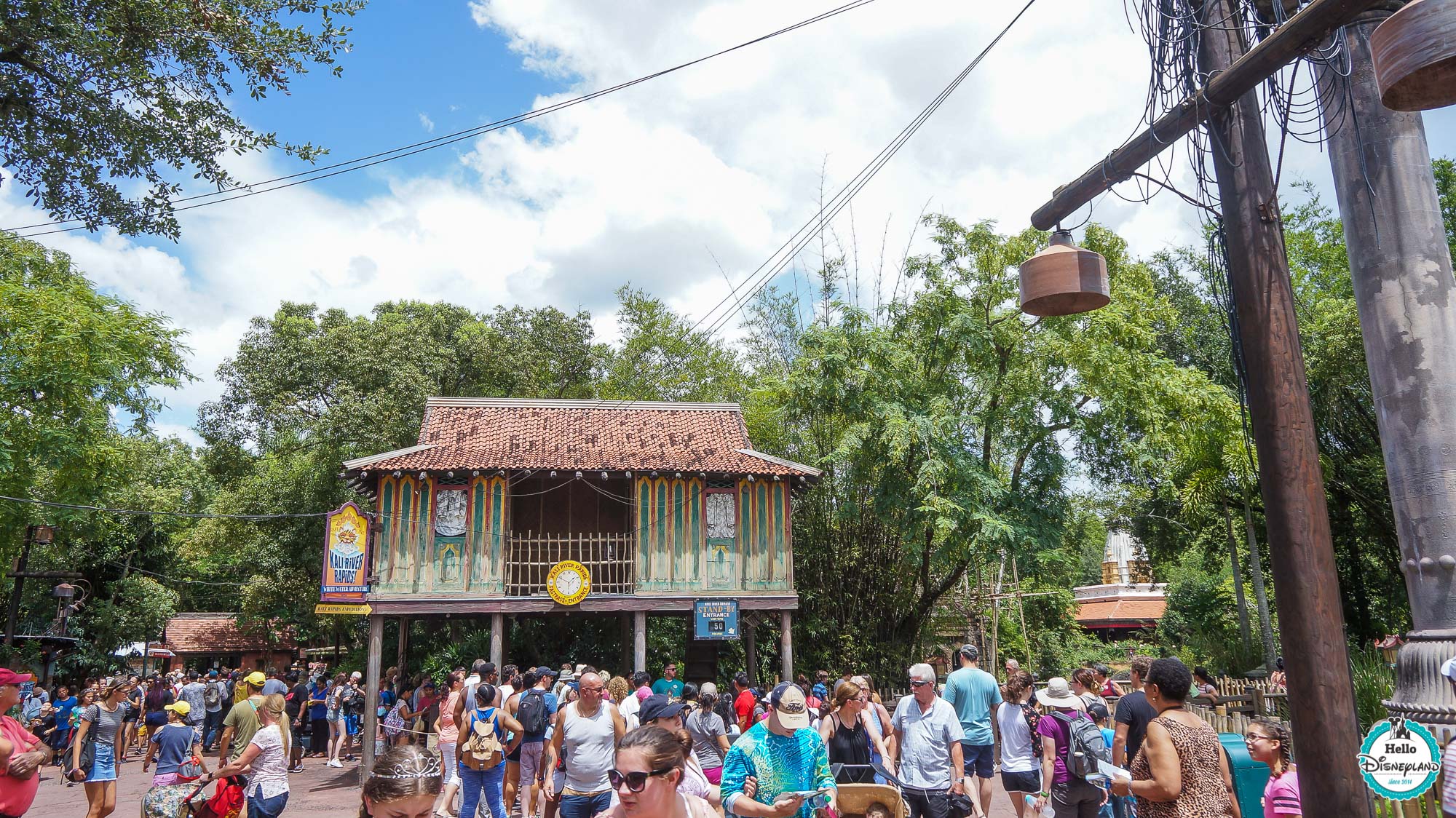 Animal Kingdom - Walt Disney World