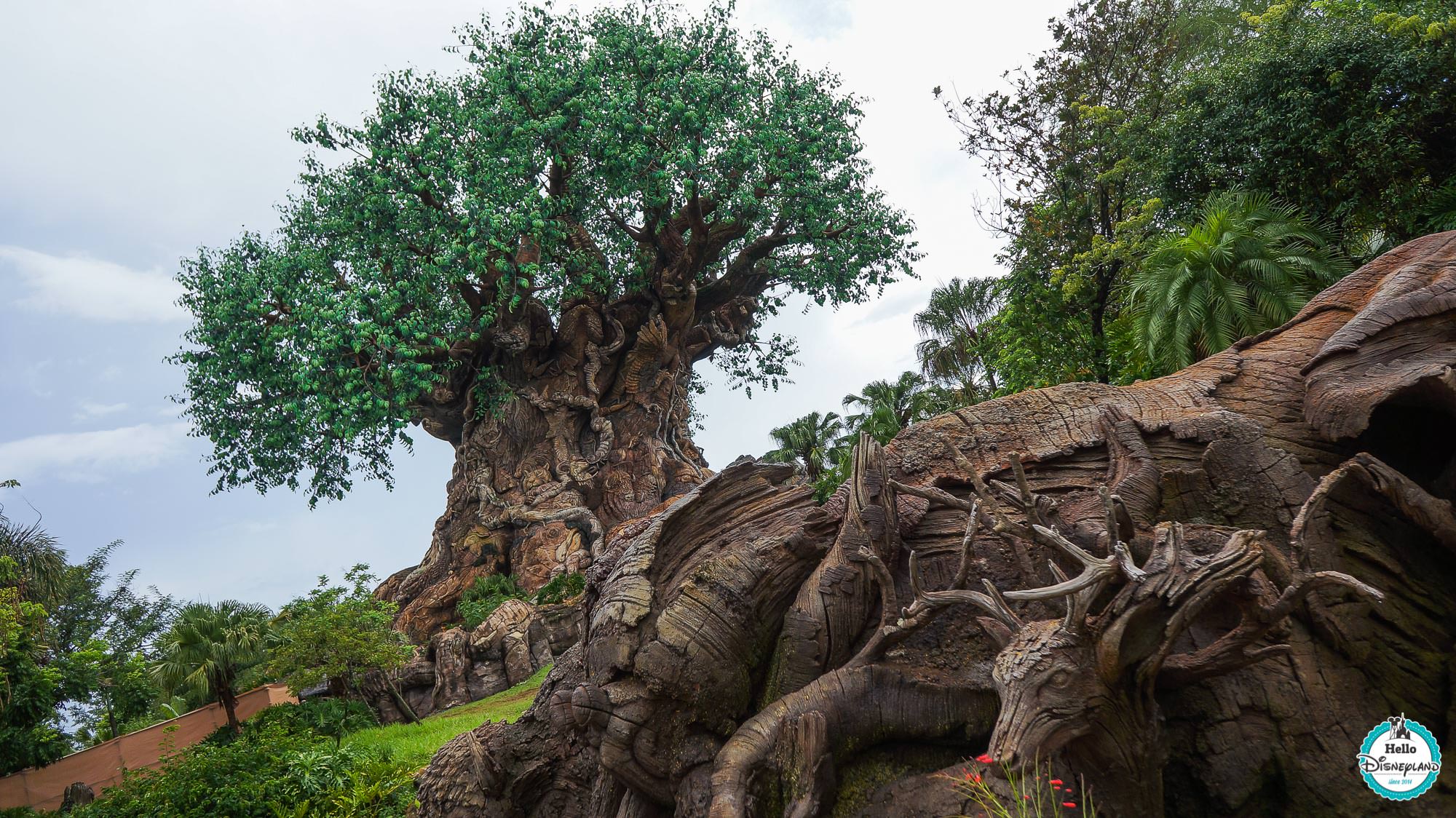 Animal Kingdom - Walt Disney World