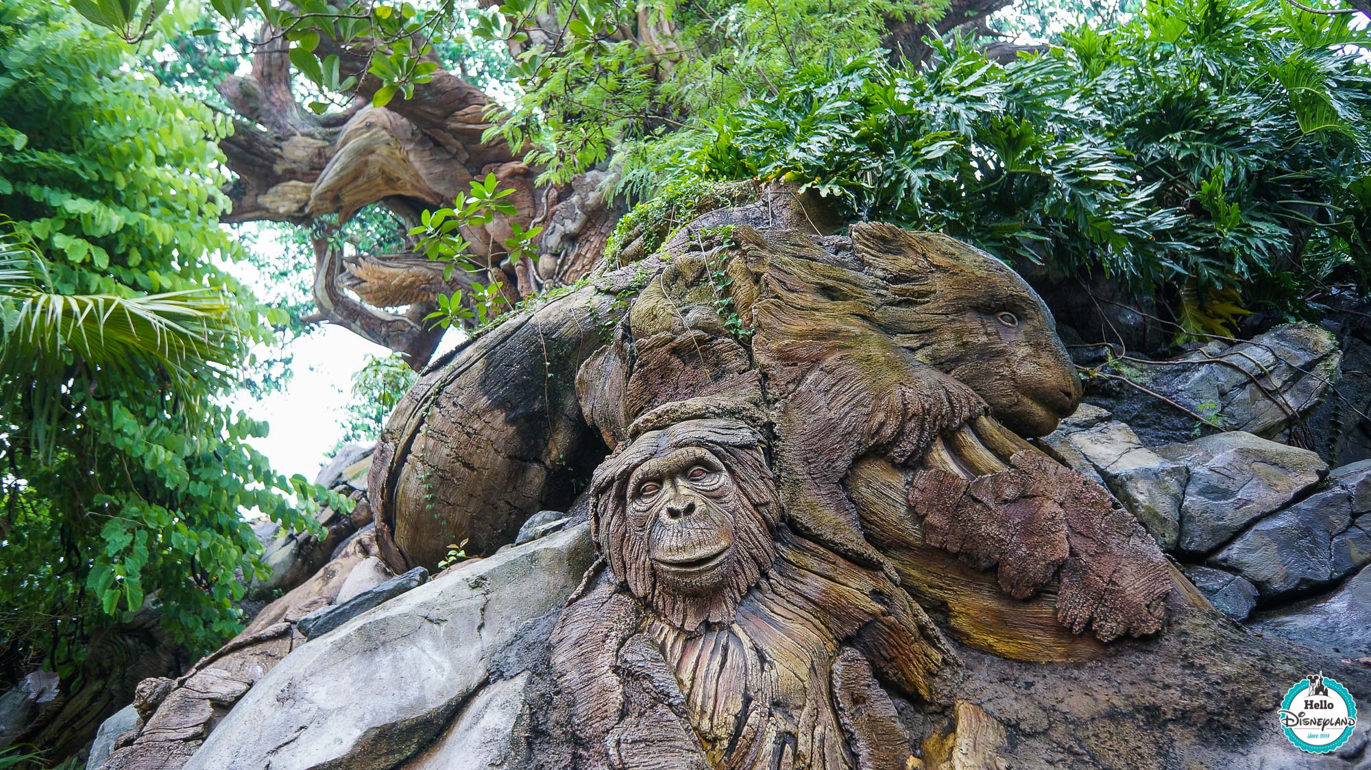 Animal Kingdom - Walt Disney World