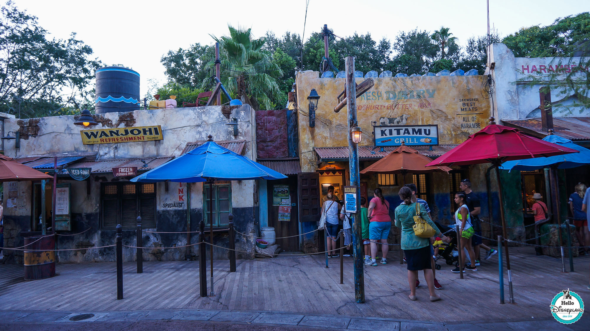 Animal Kingdom - Walt Disney World