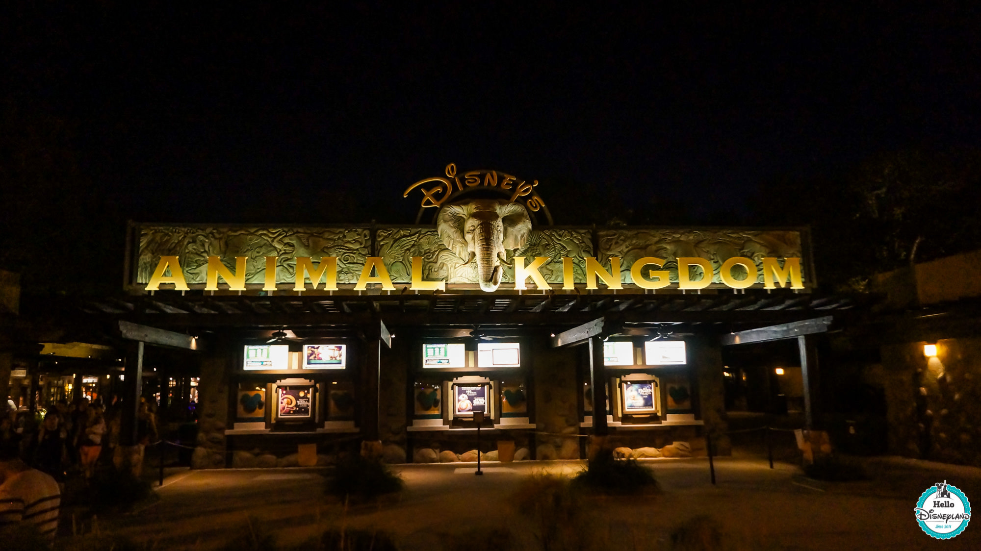 Animal Kingdom - Walt Disney World