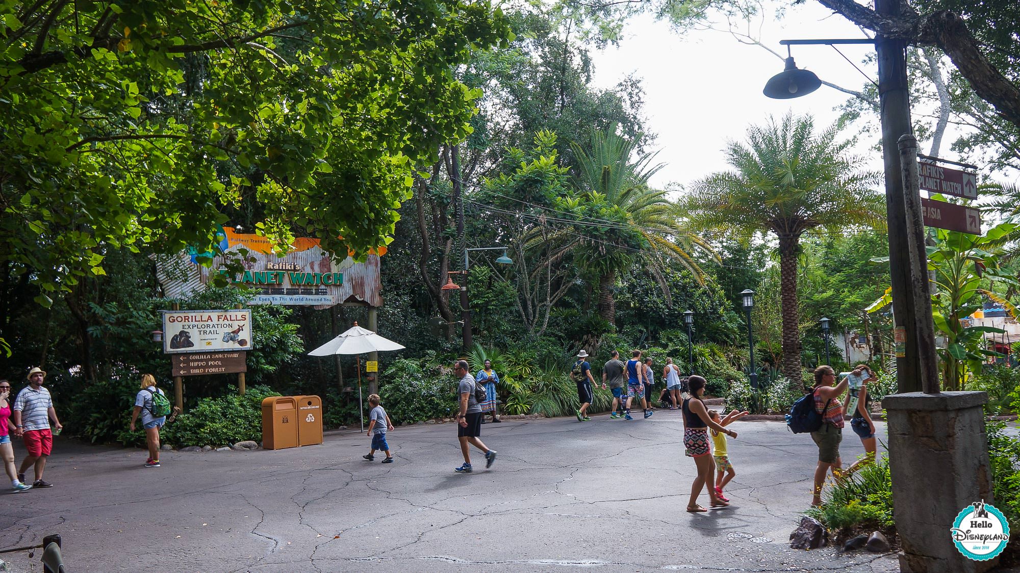 Animal Kingdom - Walt Disney World