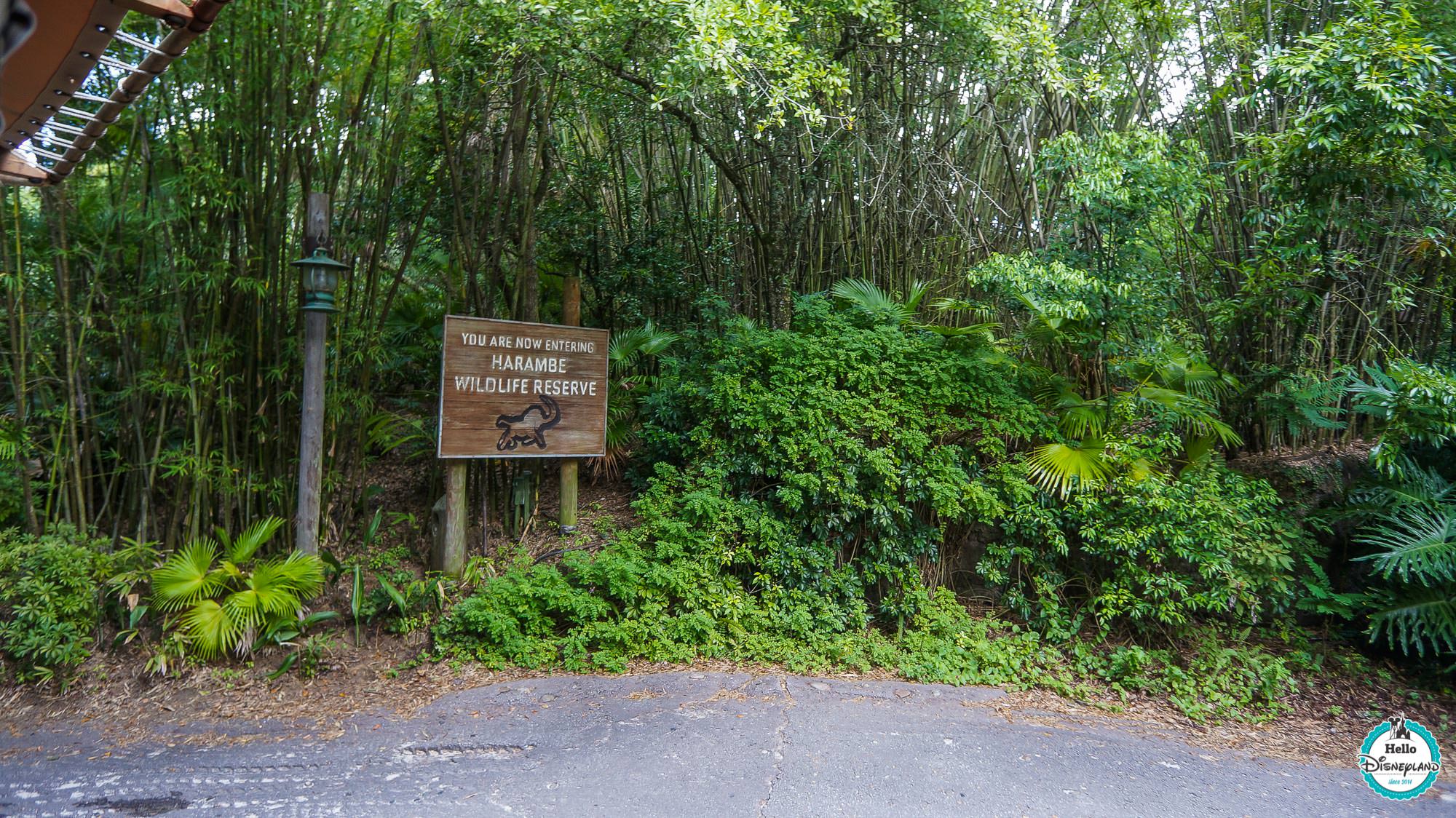 Animal Kingdom - Walt Disney World