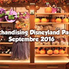 merchandising-dlp-sept2016