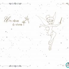 Disneyland Hotel : Un reve à vivre 199€