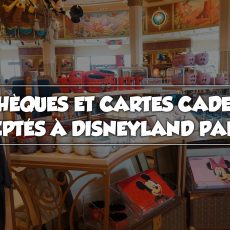 Les chèques et cartes cadeaux acceptés à Disneyland Paris