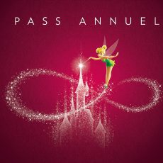 logo-nouveau-pass-annuel-disneyland-paris-2017
