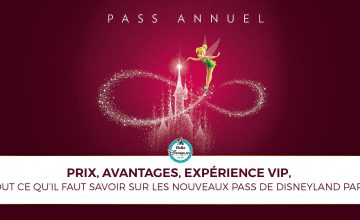 titre-nouveau-pass-annuel-disneyland-paris-2017