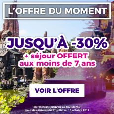 VENTE PRIVEE DISNEYLAND PARIS