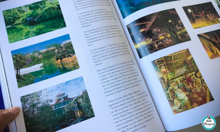 Parcs Disney : ma collection de livres