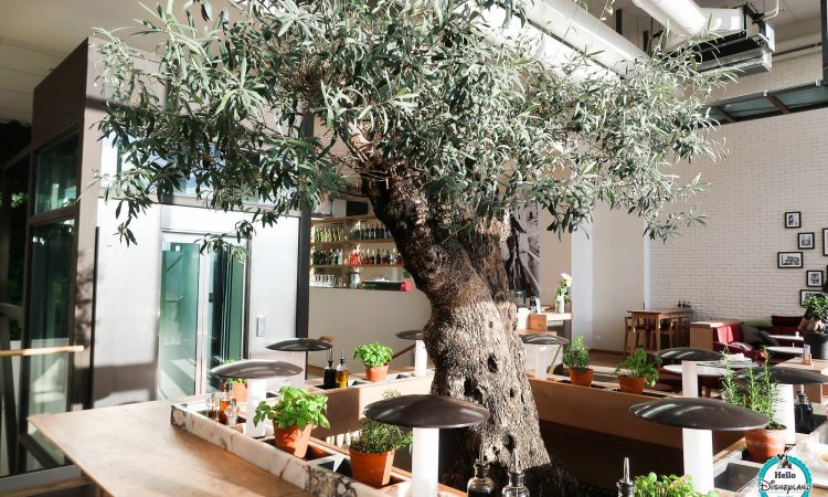 Vapiano Restaurant - Disneyland Paris