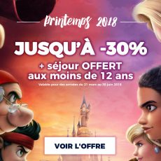 vente privee disneyland paris printemps 2018