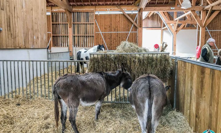 Villages Nature - Disneyland Paris