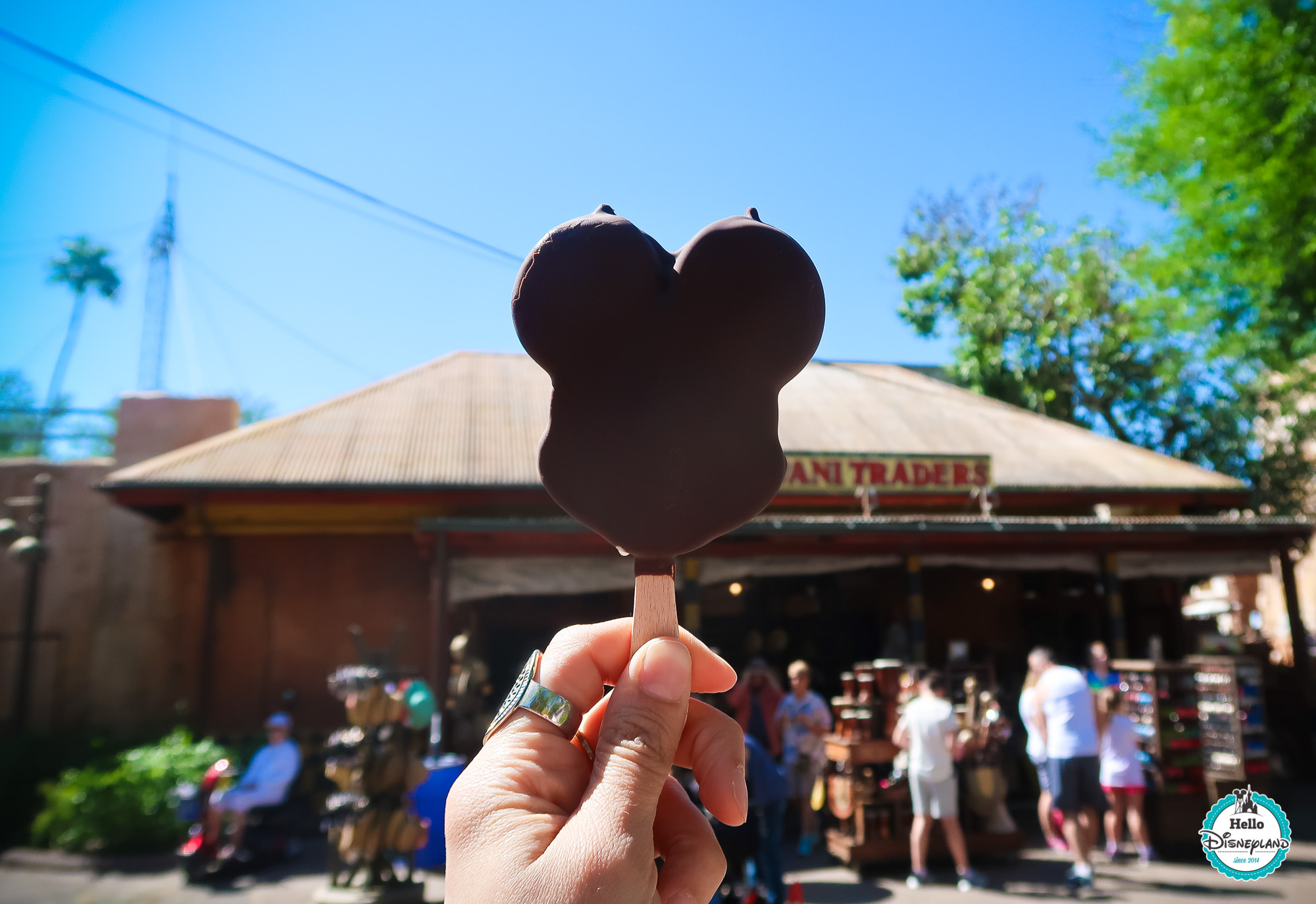 Walt Disney World Food