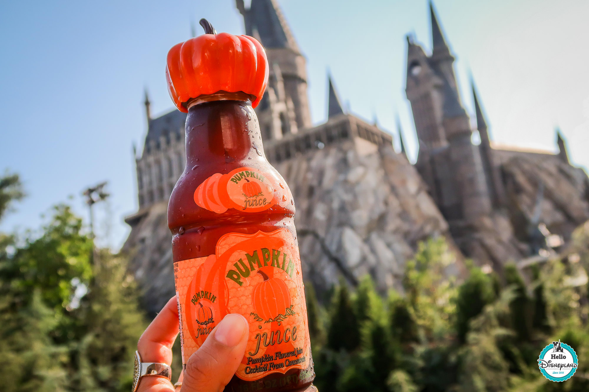 The Wizarding World of Harry Potter : Hogsmeade / Hogwarts