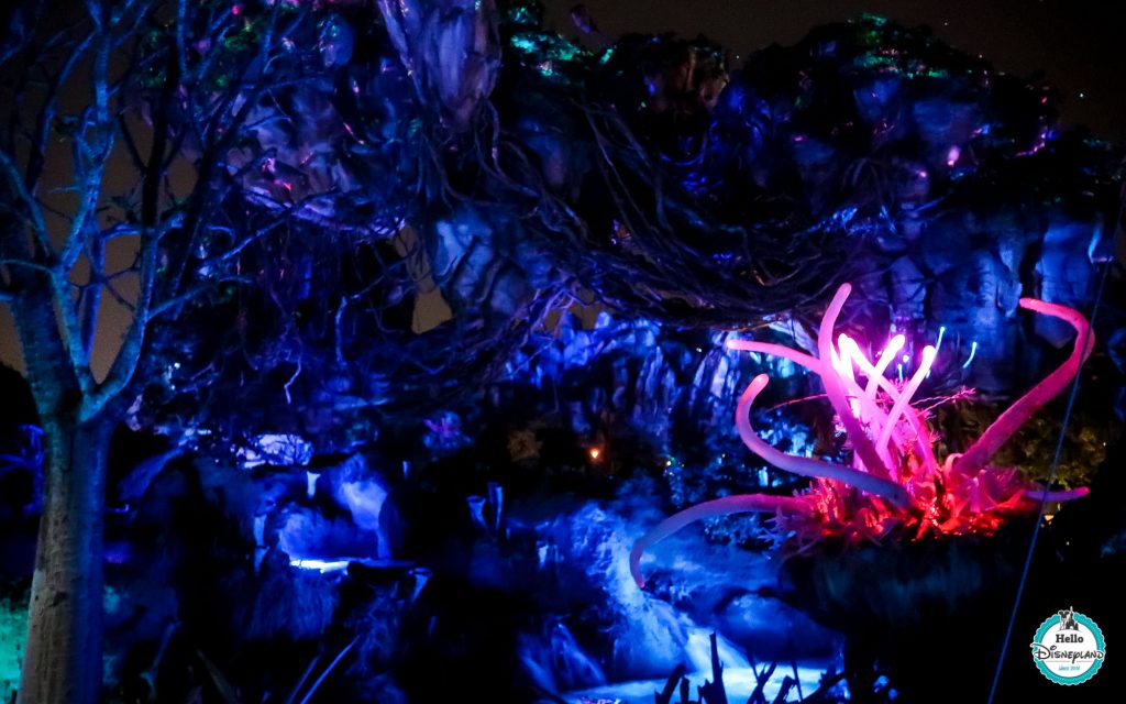 Pandora Avatar - Walt Disney World
