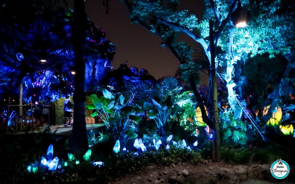 Pandora Avatar - Walt Disney World