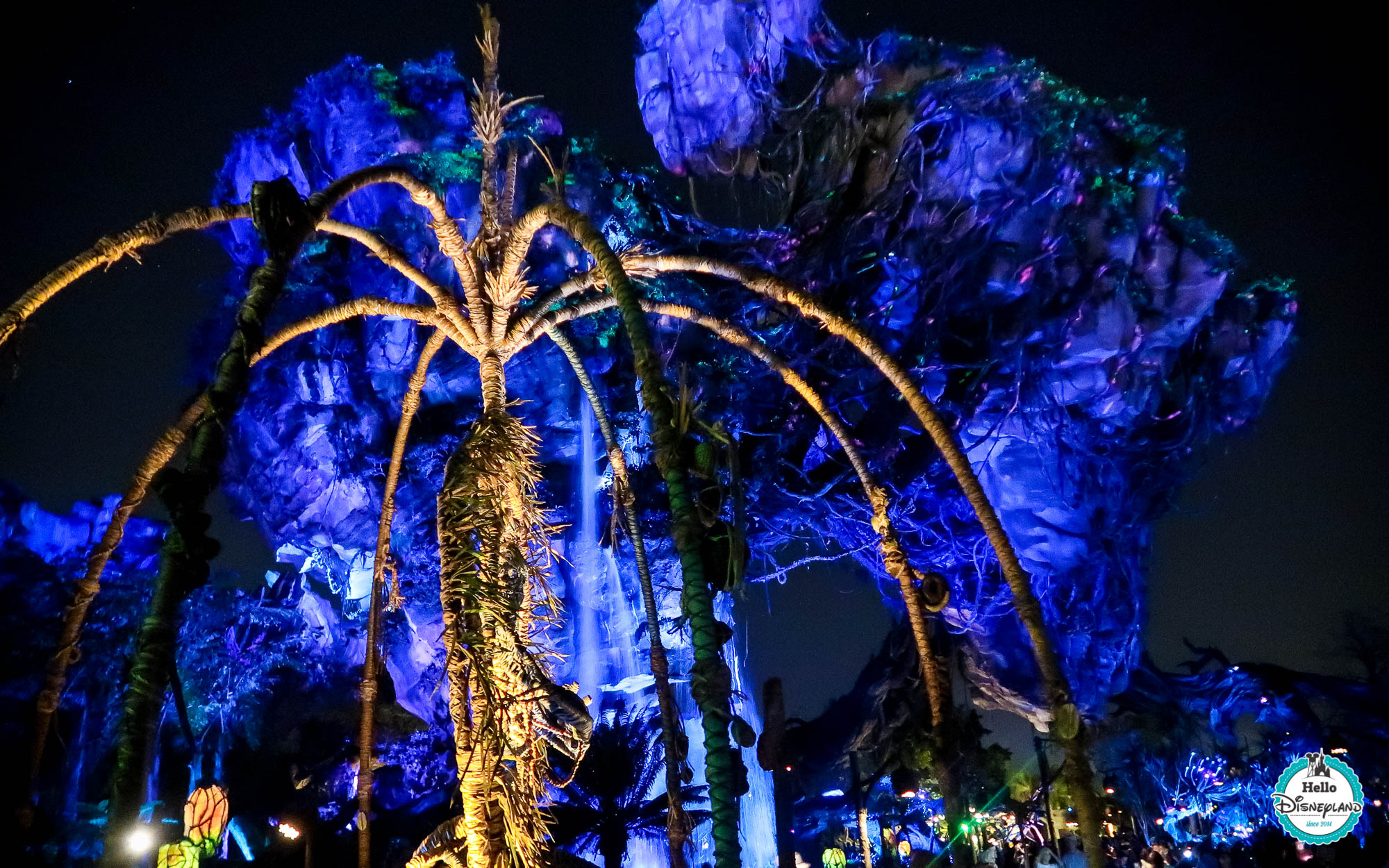 Pandora Avatar - Walt Disney World