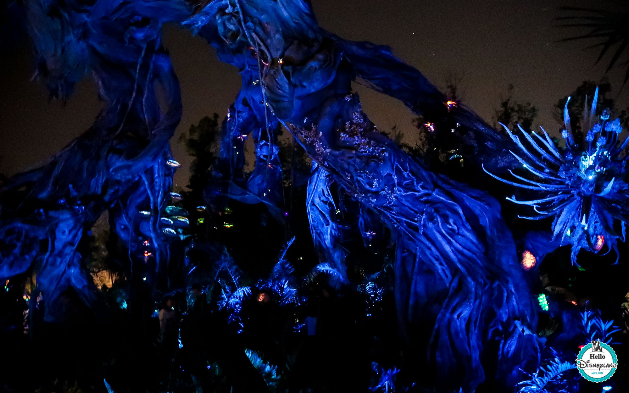 Pandora Avatar - Walt Disney World
