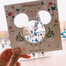 cadre souvenir gratuit disneyland paris