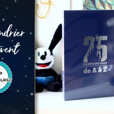 Livre 25 ans Disneyland Paris