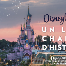 ebook gratuit disneyland paris patrimoine - 3