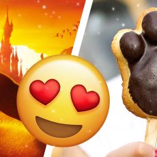 recette-disneyland-paris-roi-lion-financier-choco-coco