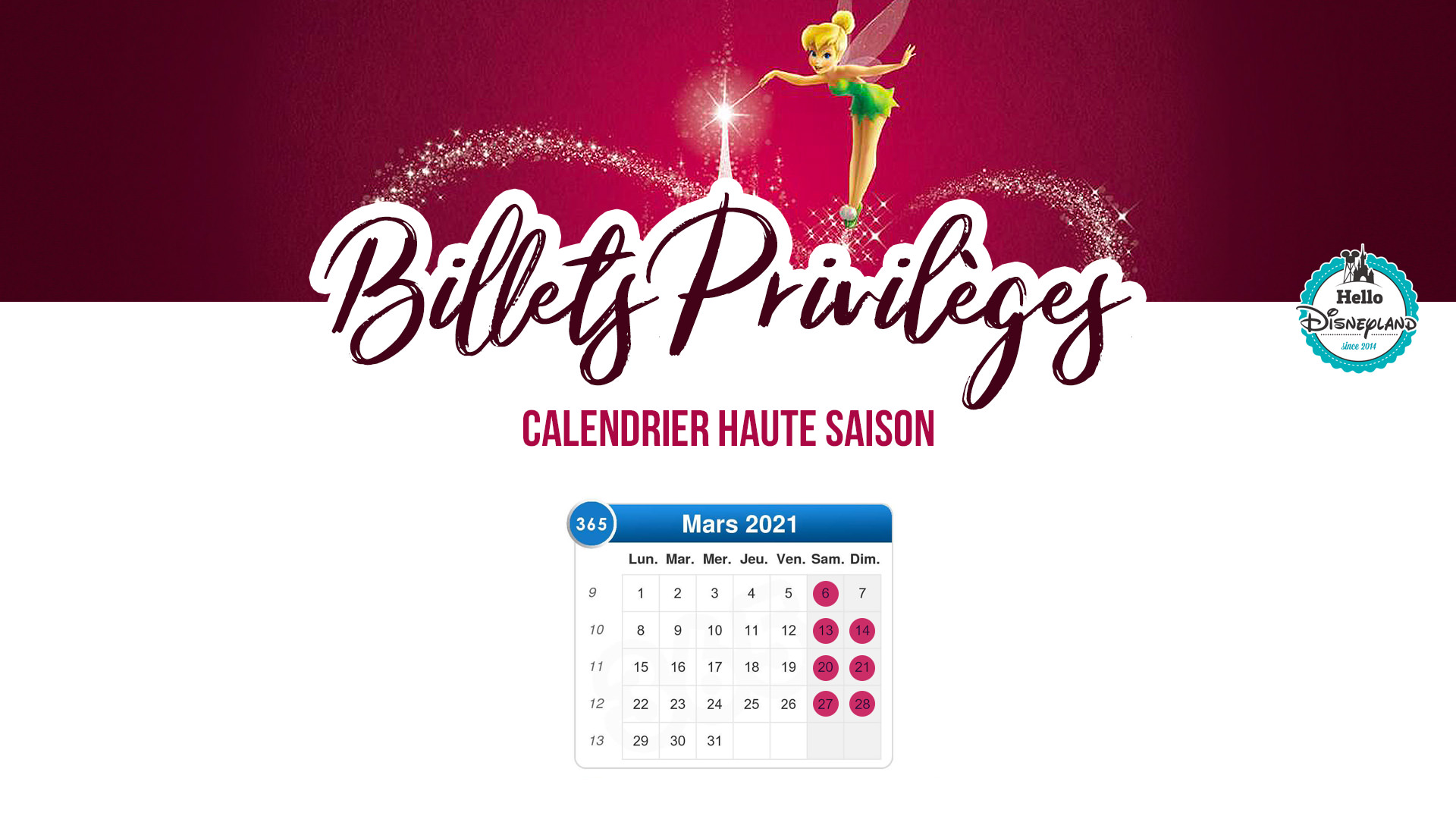 Augmentation des Billets Privilèges le 6 novembre 2020 à Disneyland Paris